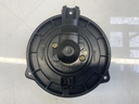 IMG_4583.jpeg