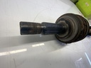 IMG_4898.jpeg