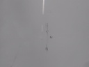 16975249370325209346210726679333.jpg
