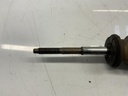 IMG_5801.jpeg