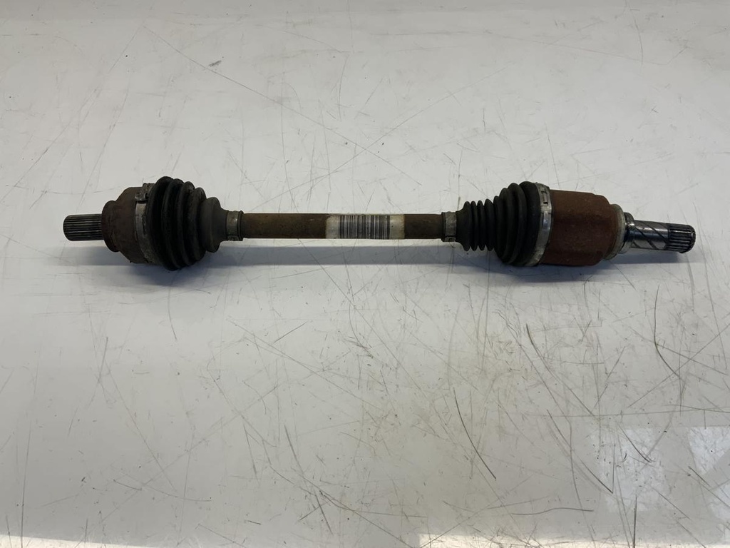 IMG_5806.jpeg