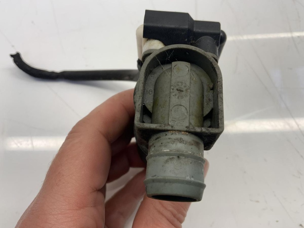IMG_6252.jpeg