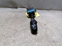 IMG_20231012_143753.jpg