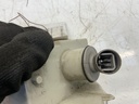 IMG_6845.jpeg