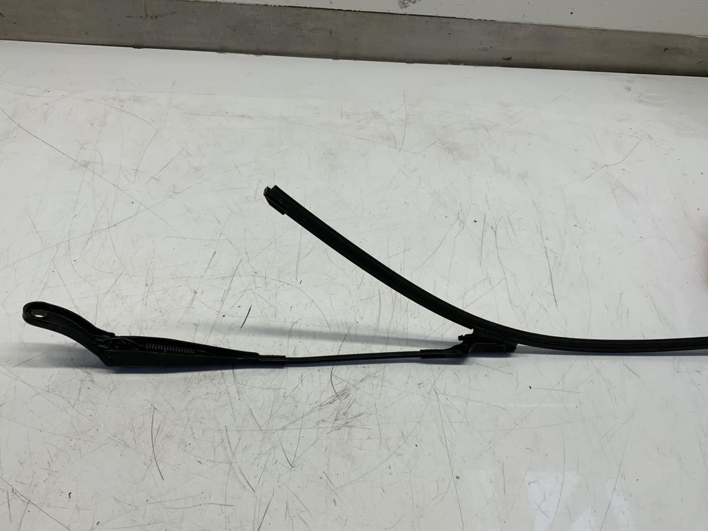 IMG_7135.jpeg
