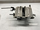 IMG_7295.jpeg