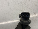 IMG_8229.jpeg