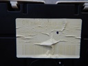DSCN4517.JPG