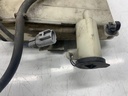 IMG_8448.jpeg