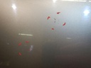 DSCN4821.JPG