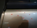 DSCN4812.JPG