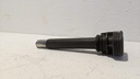 PXL_20240115_125625867.jpg