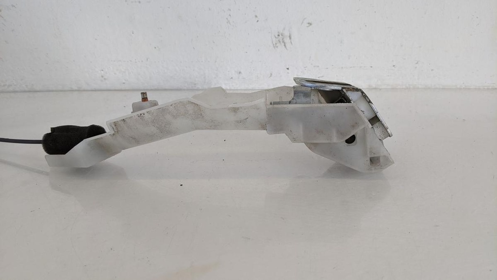PXL_20240124_103912780.jpg