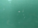 17066159400312325597267866712390.jpg