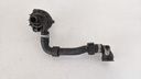 PXL_20240201_131409962.jpg