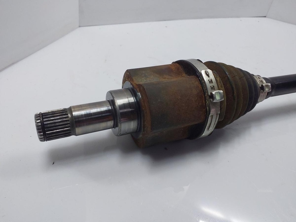 20240219_135807.jpg
