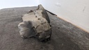 PXL_20240227_132701086.jpg