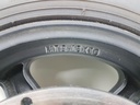 20240319_125623.jpg