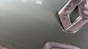 PXL_20240409_113608627.jpg