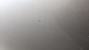 PXL_20240408_105239572.jpg