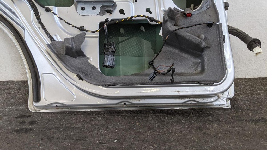 PXL_20240408_114906259.jpg