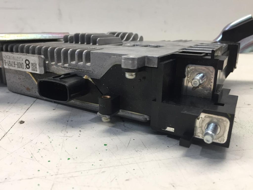 IMG_3982.JPG