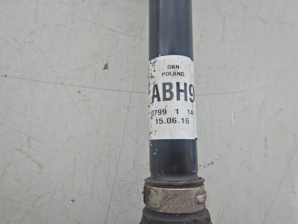 DSCN6555.JPG