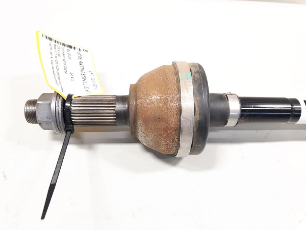 20240702_110532.jpg