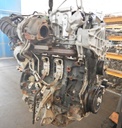 DSCN7334.JPG