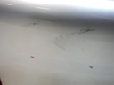 DSCN8147.JPG