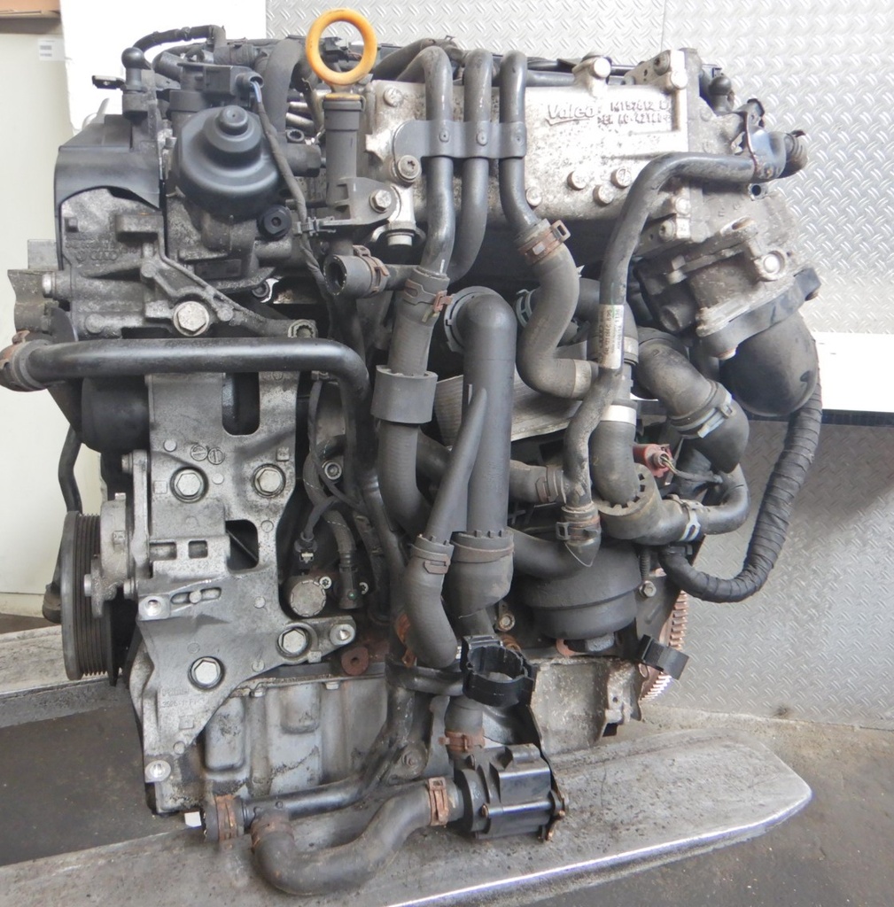 DSCN7376.JPG