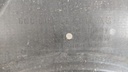 PXL_20240729_124214219.jpg