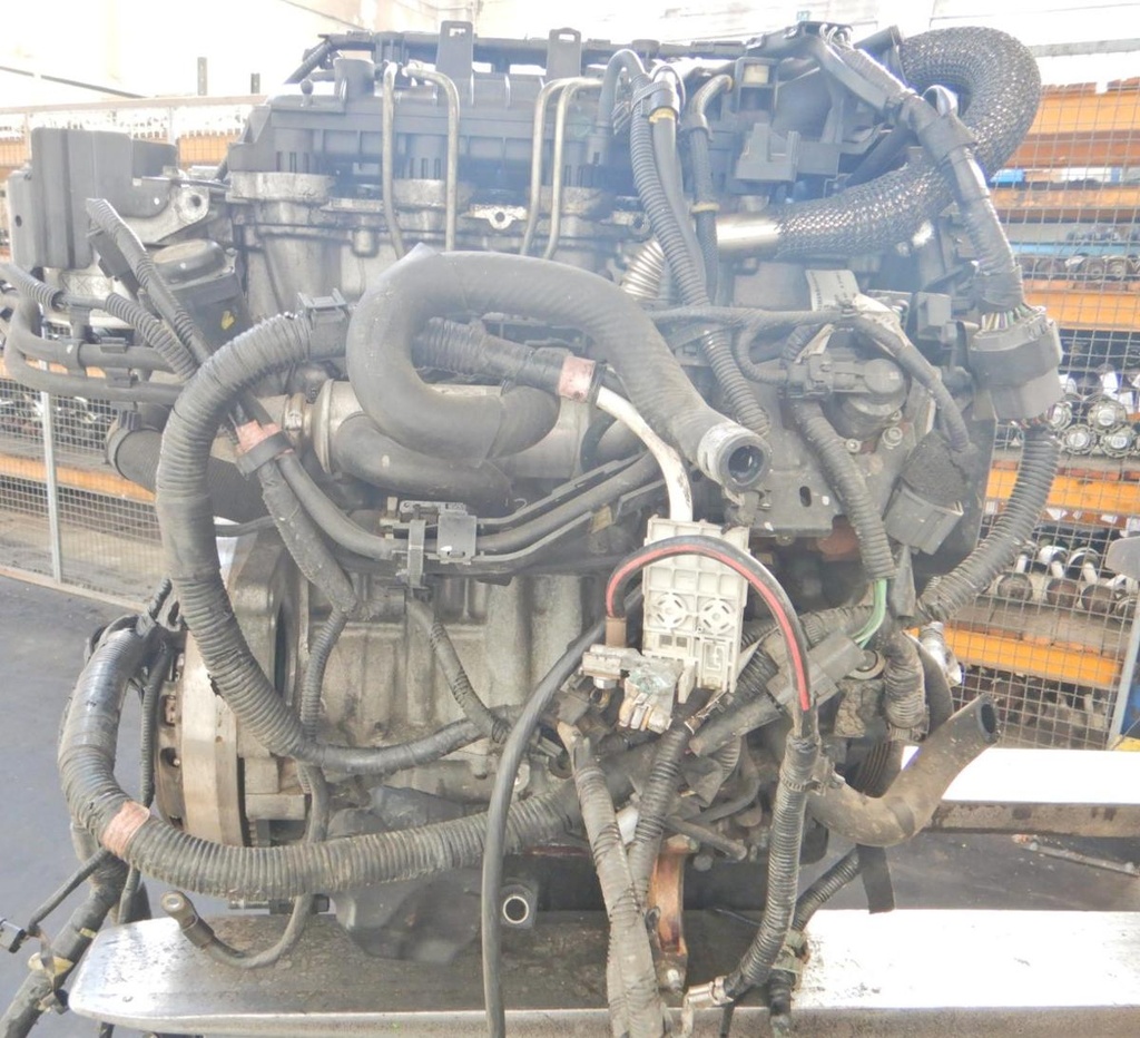 DSCN7481.JPG