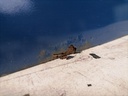IMG_20240730_145541.jpg