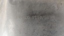 PXL_20240729_140641215.jpg