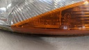 PXL_20240730_071807206.jpg