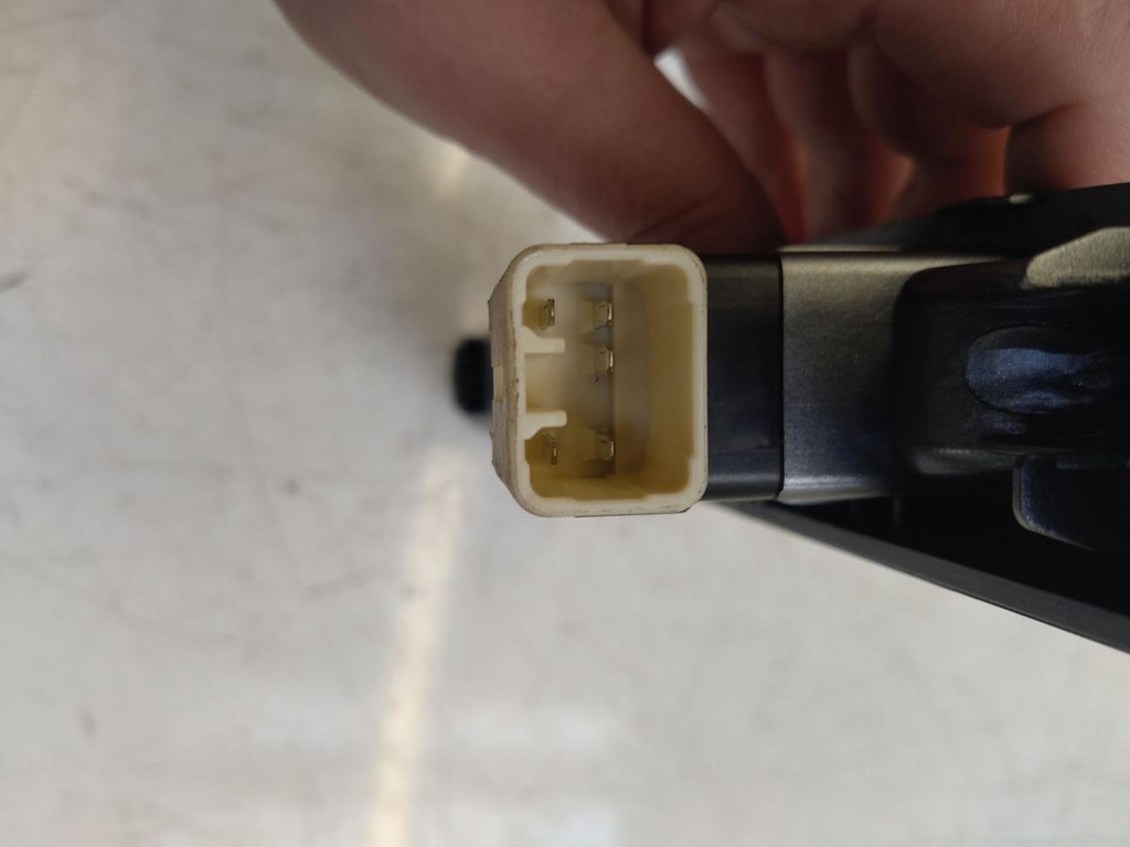 IMG_20240802_164131.jpg