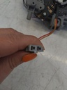 IMG_20240806_092424.jpg