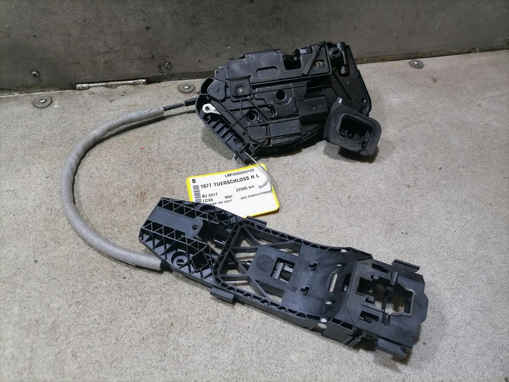 IMG_20240807_135407.jpg