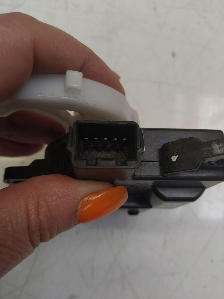 IMG_20240809_142424.jpg