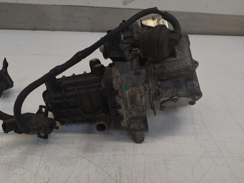 IMG_20240819_144246.jpg