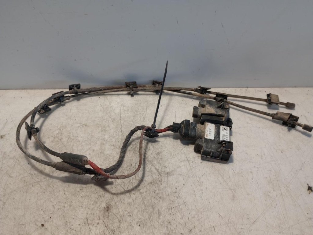 IMG_20240820_114321353.jpg