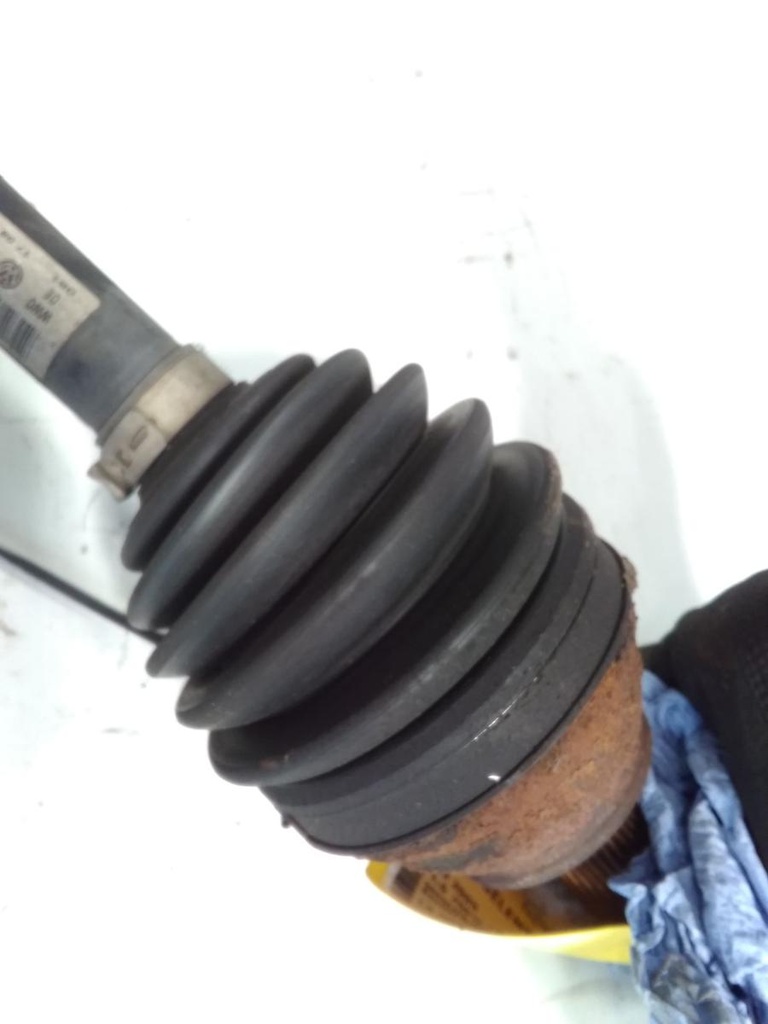 17244153840882955010290550244186.jpg