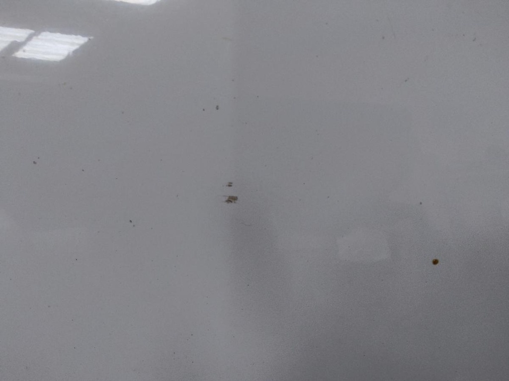 IMG_20240827_091103.jpg