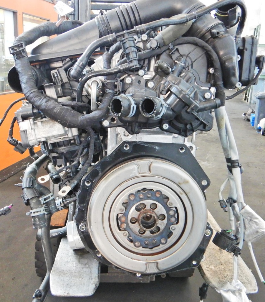 DSCN7737.JPG