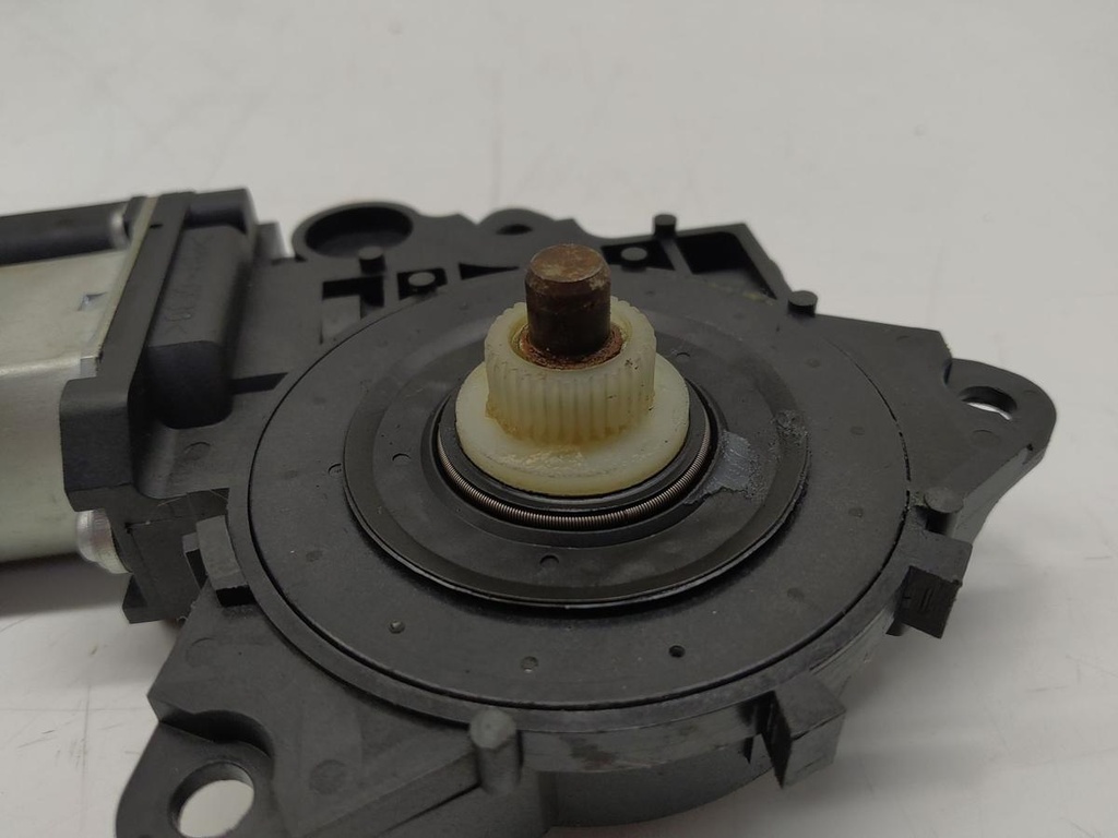 IMG_20240904_080456.jpg