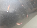 DSCN9306.JPG