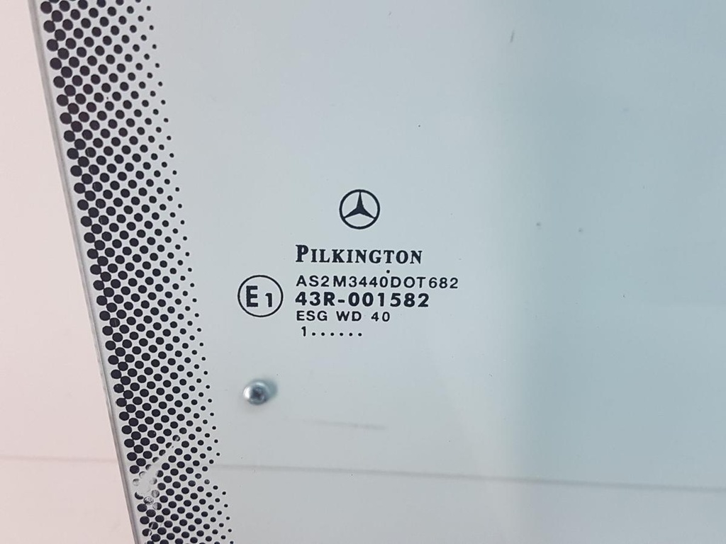 20240916_134631.jpg