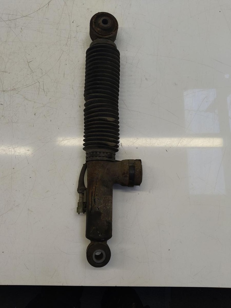 IMG_20240918_151112.jpg