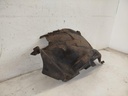 IMG_20241008_153959.jpg